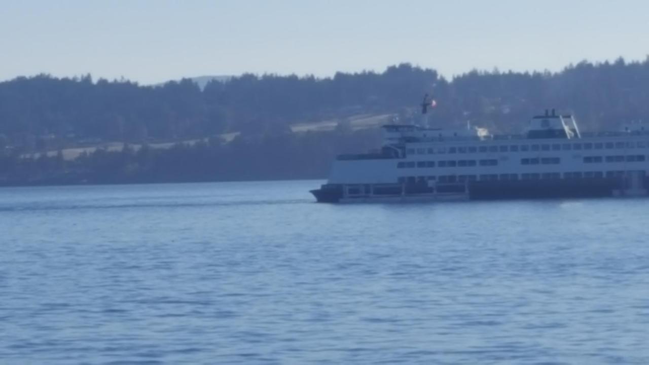 By The Sea Bnb, Sidney Victoria Bc エクステリア 写真