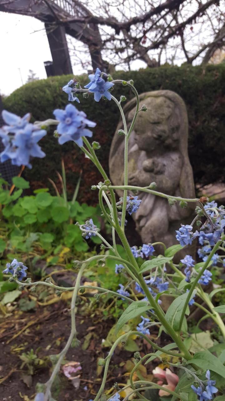 By The Sea Bnb, Sidney Victoria Bc エクステリア 写真